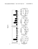 METHODS AND COMPOSITIONS FOR MODULATING THE ACTIVITY OF THE INTERLEUKIN-35     RECEPTOR COMPLEX diagram and image