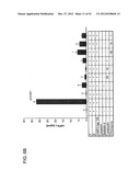 METHODS AND COMPOSITIONS FOR THE TREATMENT AND PREVENTION OF CANCER diagram and image