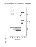 METHODS AND COMPOSITIONS FOR THE TREATMENT AND PREVENTION OF CANCER diagram and image