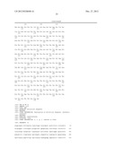 METHODS AND COMPOSITIONS FOR THE TREATMENT AND PREVENTION OF CANCER diagram and image