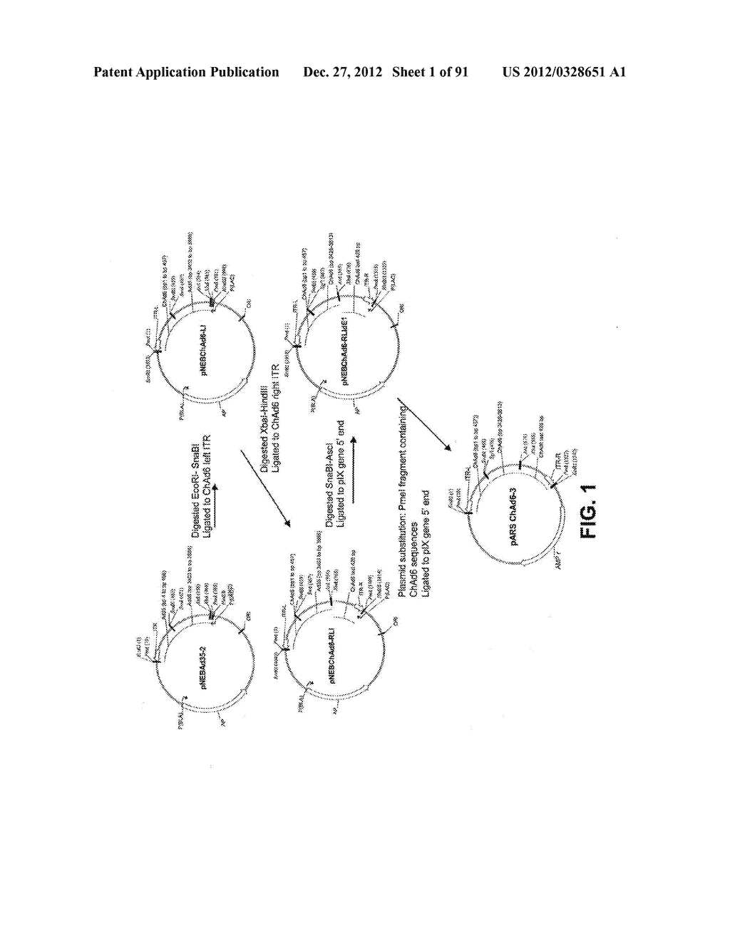 CHIMPANZEE ADENOVIRUS VACCINE CARRIERS - diagram, schematic, and image 02