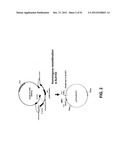 CHIMPANZEE ADENOVIRUS VACCINE CARRIERS diagram and image