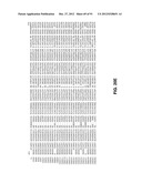 CHIMPANZEE ADENOVIRUS VACCINE CARRIERS diagram and image