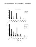 CHIMPANZEE ADENOVIRUS VACCINE CARRIERS diagram and image