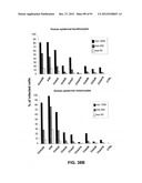 CHIMPANZEE ADENOVIRUS VACCINE CARRIERS diagram and image