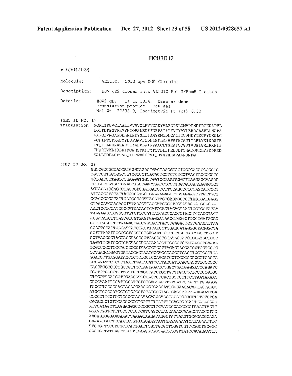 COMPOSITIONS AND METHODS FOR VACCINATING AGAINST HSV-2 - diagram, schematic, and image 24