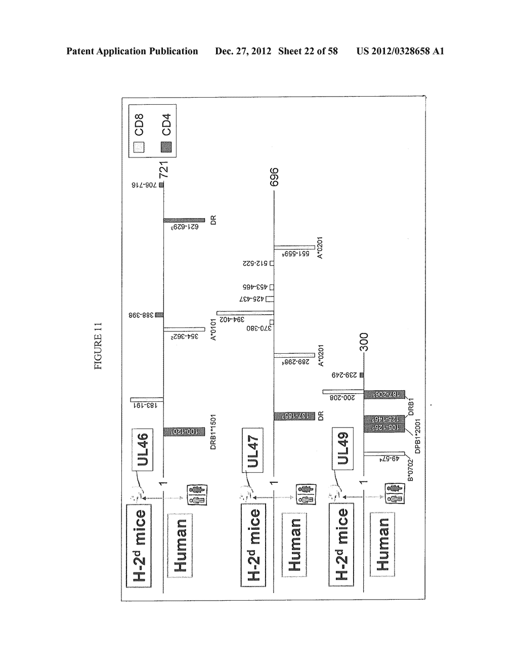 COMPOSITIONS AND METHODS FOR VACCINATING AGAINST HSV-2 - diagram, schematic, and image 23