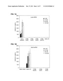 MODIFIED SIRNA MOLECULES AND USES THEREOF diagram and image