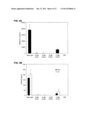 MODIFIED SIRNA MOLECULES AND USES THEREOF diagram and image