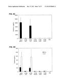 MODIFIED SIRNA MOLECULES AND USES THEREOF diagram and image