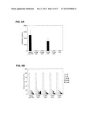 MODIFIED SIRNA MOLECULES AND USES THEREOF diagram and image