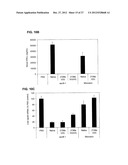 MODIFIED SIRNA MOLECULES AND USES THEREOF diagram and image