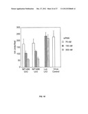 MODIFIED SIRNA MOLECULES AND USES THEREOF diagram and image