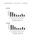 MODIFIED SIRNA MOLECULES AND USES THEREOF diagram and image