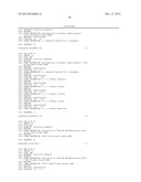 MODIFIED SIRNA MOLECULES AND USES THEREOF diagram and image