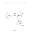 DENDRITIC AND HYPERBRANCHED POLYMERS FOR CELLULAR ENCAPSULATION AND     FUNCTIONALIZATION diagram and image