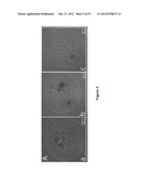 DENDRITIC AND HYPERBRANCHED POLYMERS FOR CELLULAR ENCAPSULATION AND     FUNCTIONALIZATION diagram and image