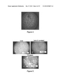 DENDRITIC AND HYPERBRANCHED POLYMERS FOR CELLULAR ENCAPSULATION AND     FUNCTIONALIZATION diagram and image