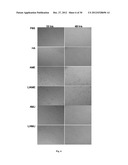 Amniotic Membrane Preparations and Purified Compositions and     Anti-Inflammation Methods diagram and image