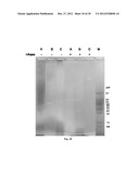 Amniotic Membrane Preparations and Purified Compositions and     Anti-Inflammation Methods diagram and image