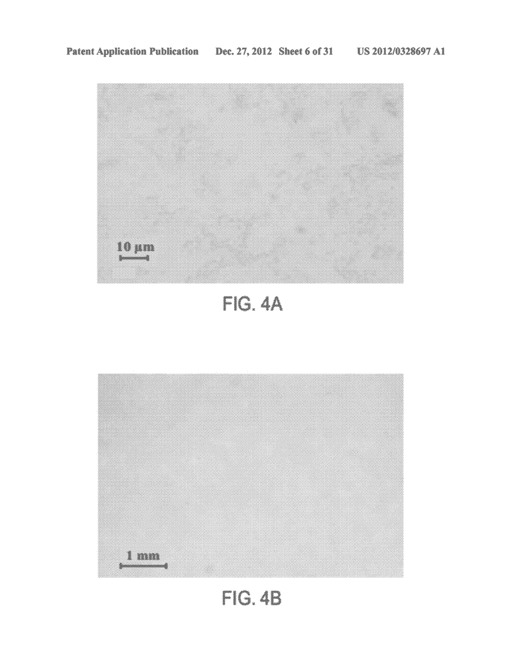 Controlled Release Solid Dose Forms - diagram, schematic, and image 07