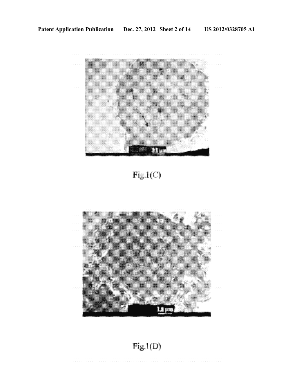 MAGNETIC NANOMEDICINE FOR TUMOR SUPPRESSION AND THERAPY - diagram, schematic, and image 03