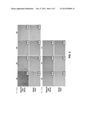 PRINTED CIRCUIT BOARDS AND RELATED ARTICLES INCLUDING ELECTRODEPOSITED     COATINGS diagram and image