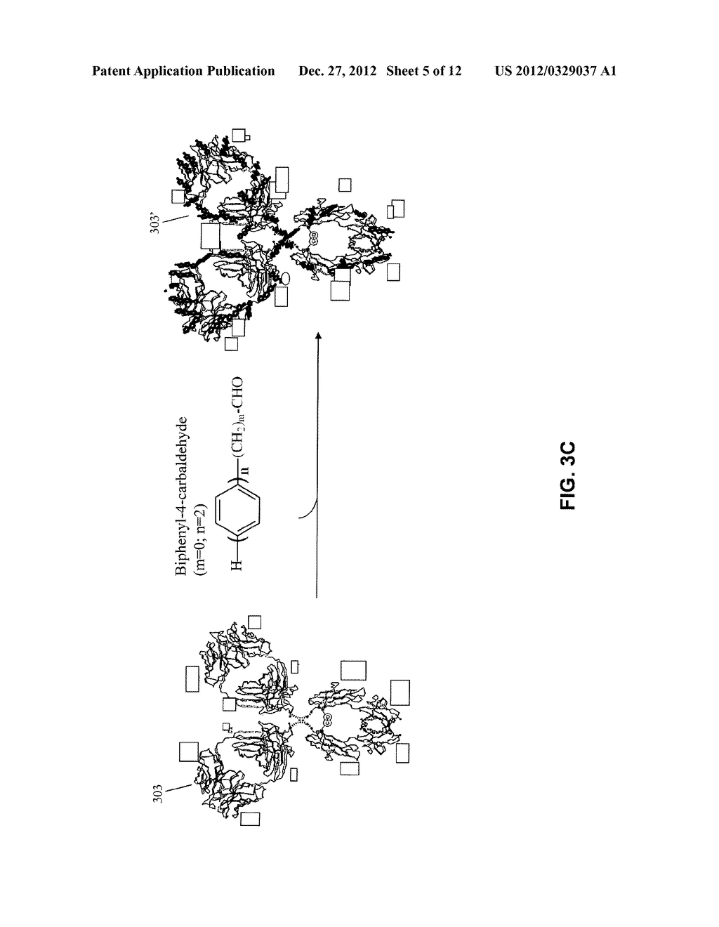 BIOSENSOR - diagram, schematic, and image 06