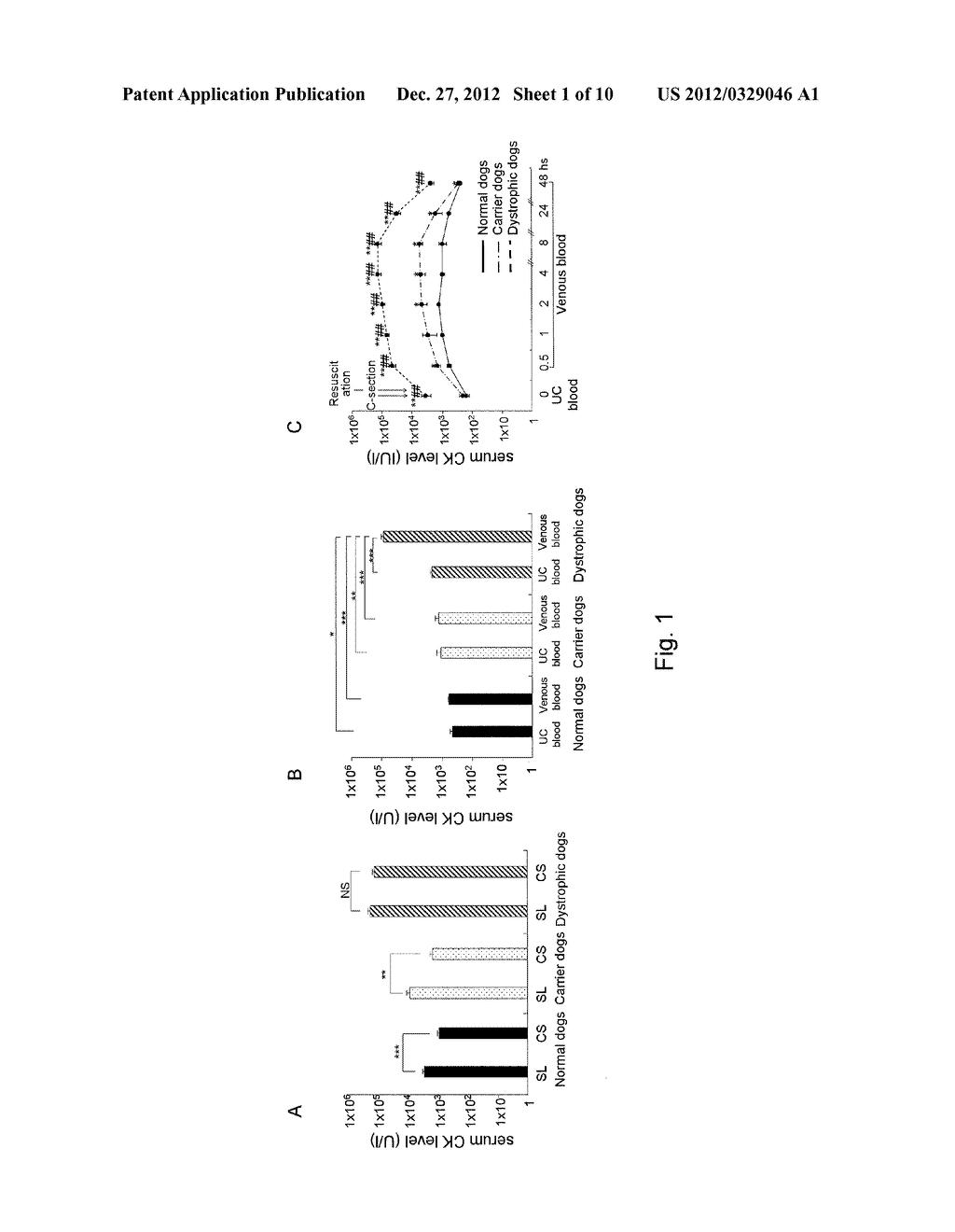MOLECULAR MARKER FOR EVALUATING PATHOLOGICAL CONDITIONS AND TREATMENT OF     MUSCULAR DYSTROPHY - diagram, schematic, and image 02
