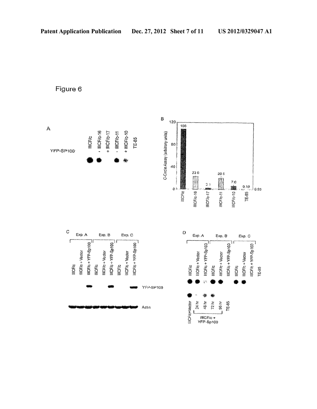 METHODS AND ASSAYS FOR THE DETECTION OF ALTERNATIVE LENGTHENING OF     TELOMERES (ALT) ACTIVITY IN CELLS - diagram, schematic, and image 08