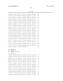 METHODS OF EVALUATING RELAPSE RISK OF ACUTE MYELOID LEUKEMIA USING NUCLEIC     ACIDS OR FRAGMENTS ENCODING FLT3 KINASE diagram and image