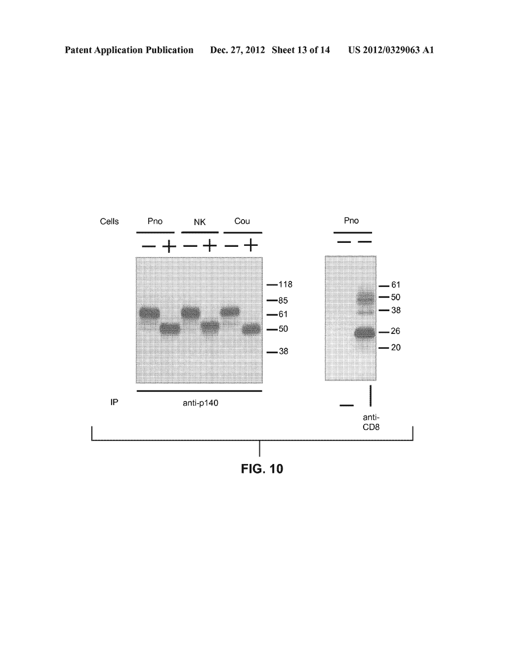 NOVEL MEANS FOR THE DIAGNOSIS AND THERAPY OF CTCL - diagram, schematic, and image 14