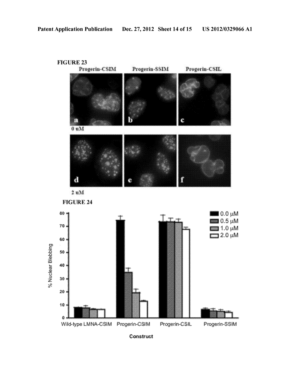 FARNESYLTRANSFERASE INHIBITORS FOR TREATMENT OF LAMINOPATHIES, CELLULAR     AGING AND ATHEROSCLEROSIS - diagram, schematic, and image 15