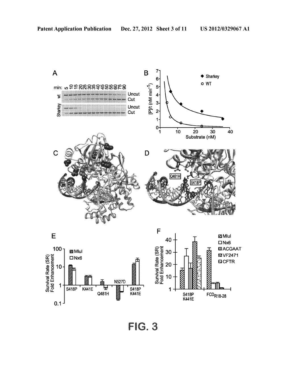 Methods of Generating Zinc Finger Nucleases Having Altered Activity - diagram, schematic, and image 04