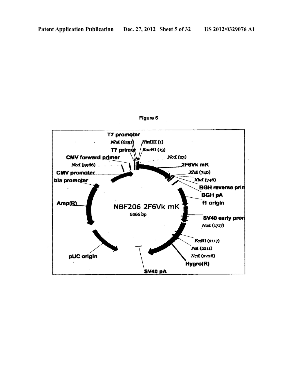 Antibodies to Non-Functional Oligomeric P2X7 Receptors - diagram, schematic, and image 06