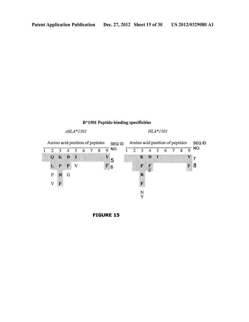 ANTI-HLA ASSAY AND METHODS - diagram, schematic, and image 16