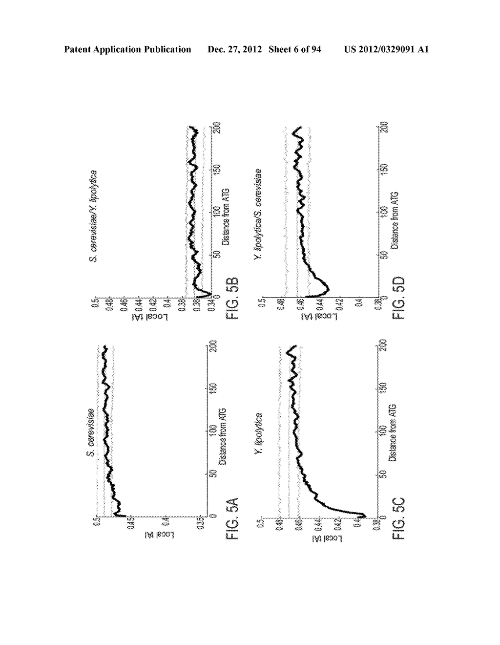 RECOMBINANT PROTEIN PRODUCTION IN HETEROLOGOUS SYSTEMS - diagram, schematic, and image 07