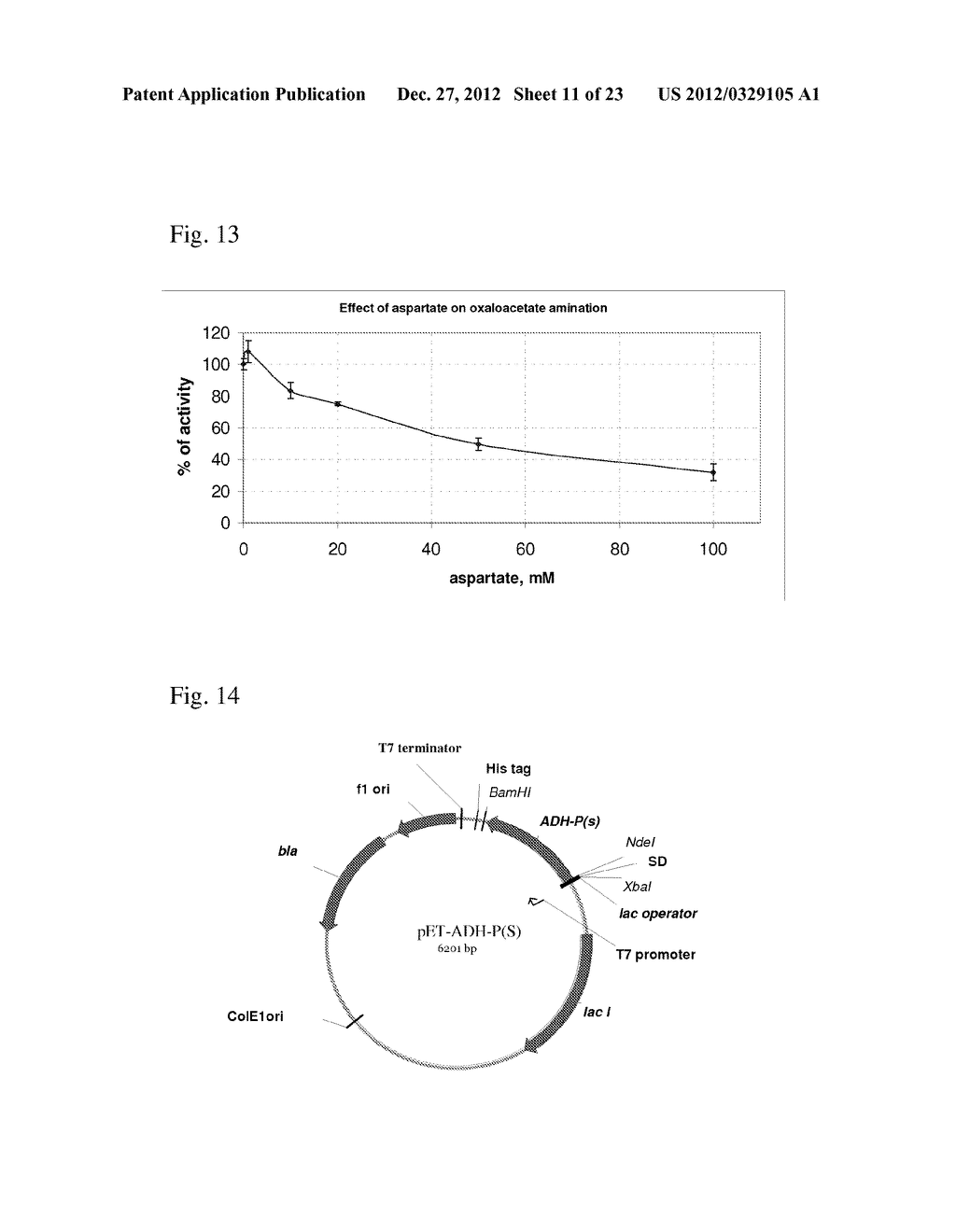 BACTERIUM OF ENTEROBACTERIACEAE FAMILY PRODUCING L-ASPARTIC ACID OR     L-ASPARTIC ACID-DERIVED METABOLITES AND A METHOD FOR PRODUCING L-ASPARTIC     ACID OR L-ASPARTIC ACID-DERIVED METABOLITES - diagram, schematic, and image 12