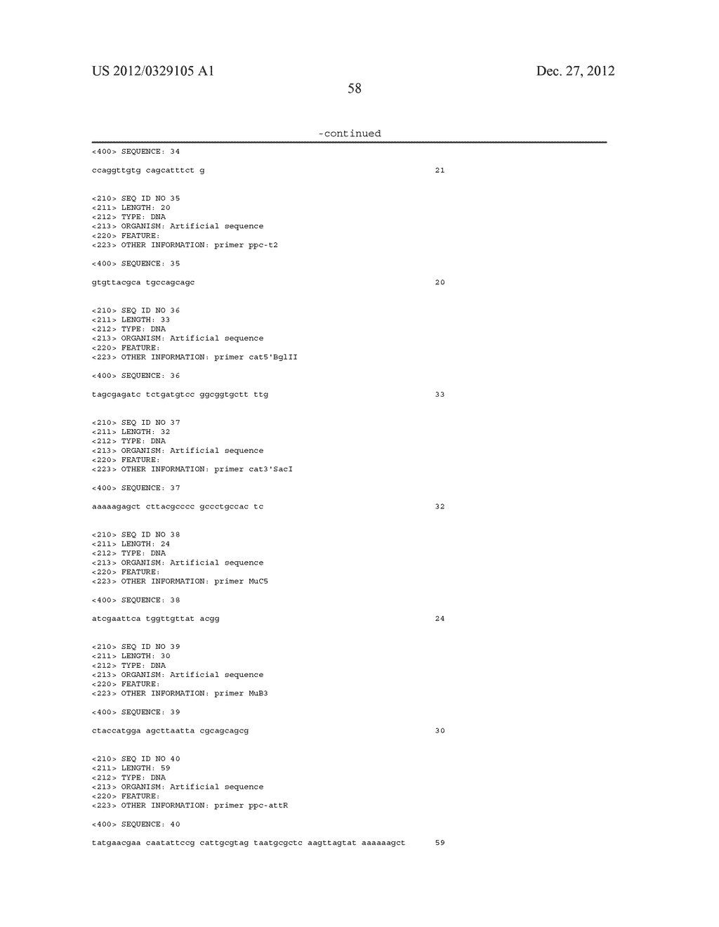 BACTERIUM OF ENTEROBACTERIACEAE FAMILY PRODUCING L-ASPARTIC ACID OR     L-ASPARTIC ACID-DERIVED METABOLITES AND A METHOD FOR PRODUCING L-ASPARTIC     ACID OR L-ASPARTIC ACID-DERIVED METABOLITES - diagram, schematic, and image 82