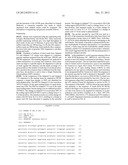 XYLOSE UTILIZING ZYMOMONAS MOBILIS WITH IMPROVED ETHANOL PRODUCTION IN     BIOMASS HYDROLYSATE MEDIUM diagram and image