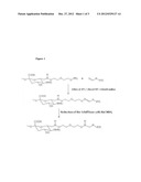 THERAPEUTIC PROTEINS WITH INCREASED HALF-LIFE AND METHODS OF PREPARING     SAME diagram and image