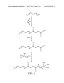 MAGNETIC NANOPARTICLE WITH BIOCOMPATIBILITY diagram and image