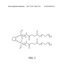 MAGNETIC NANOPARTICLE WITH BIOCOMPATIBILITY diagram and image