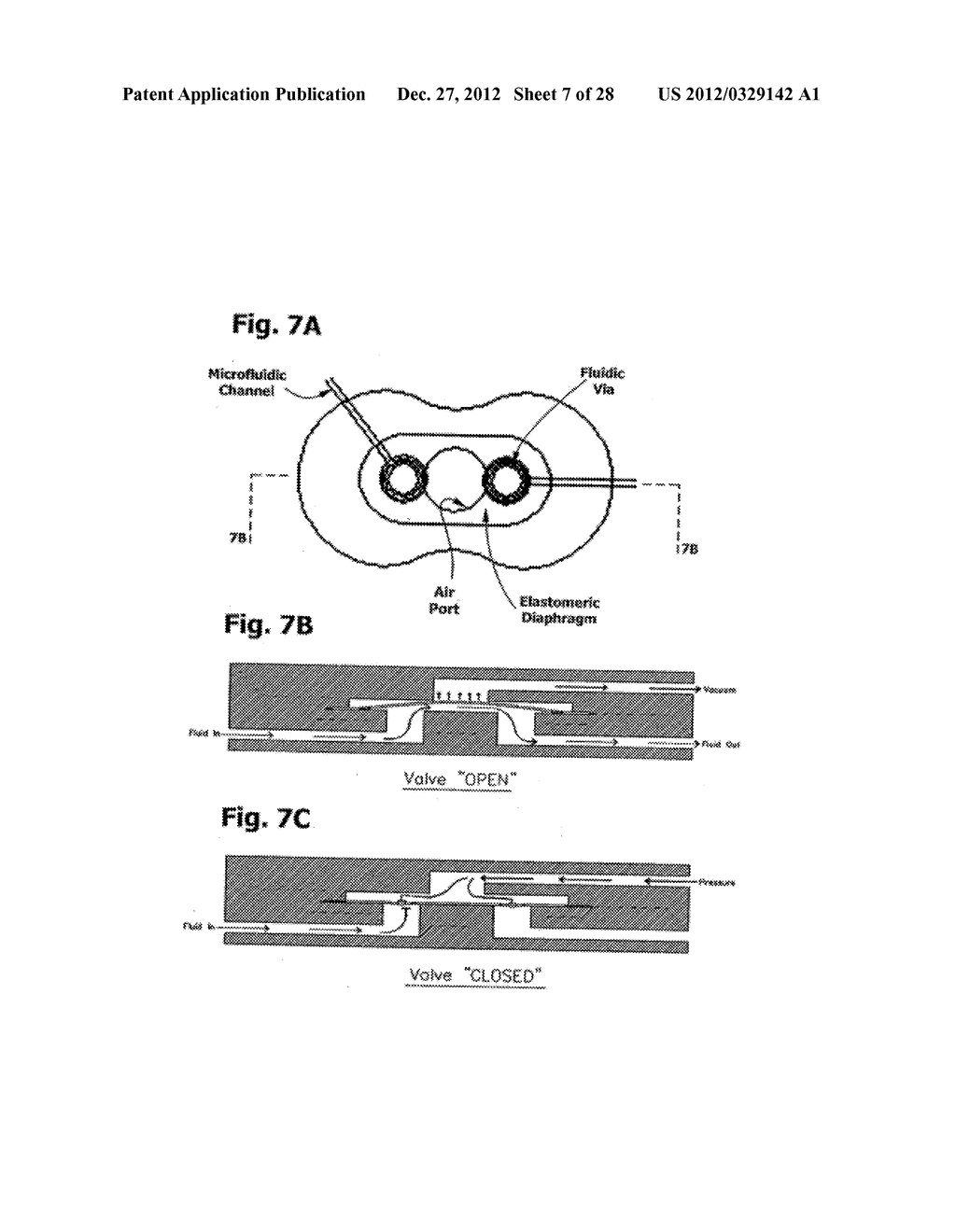 INTEGRATED NUCLEIC ACID ASSAYS - diagram, schematic, and image 08