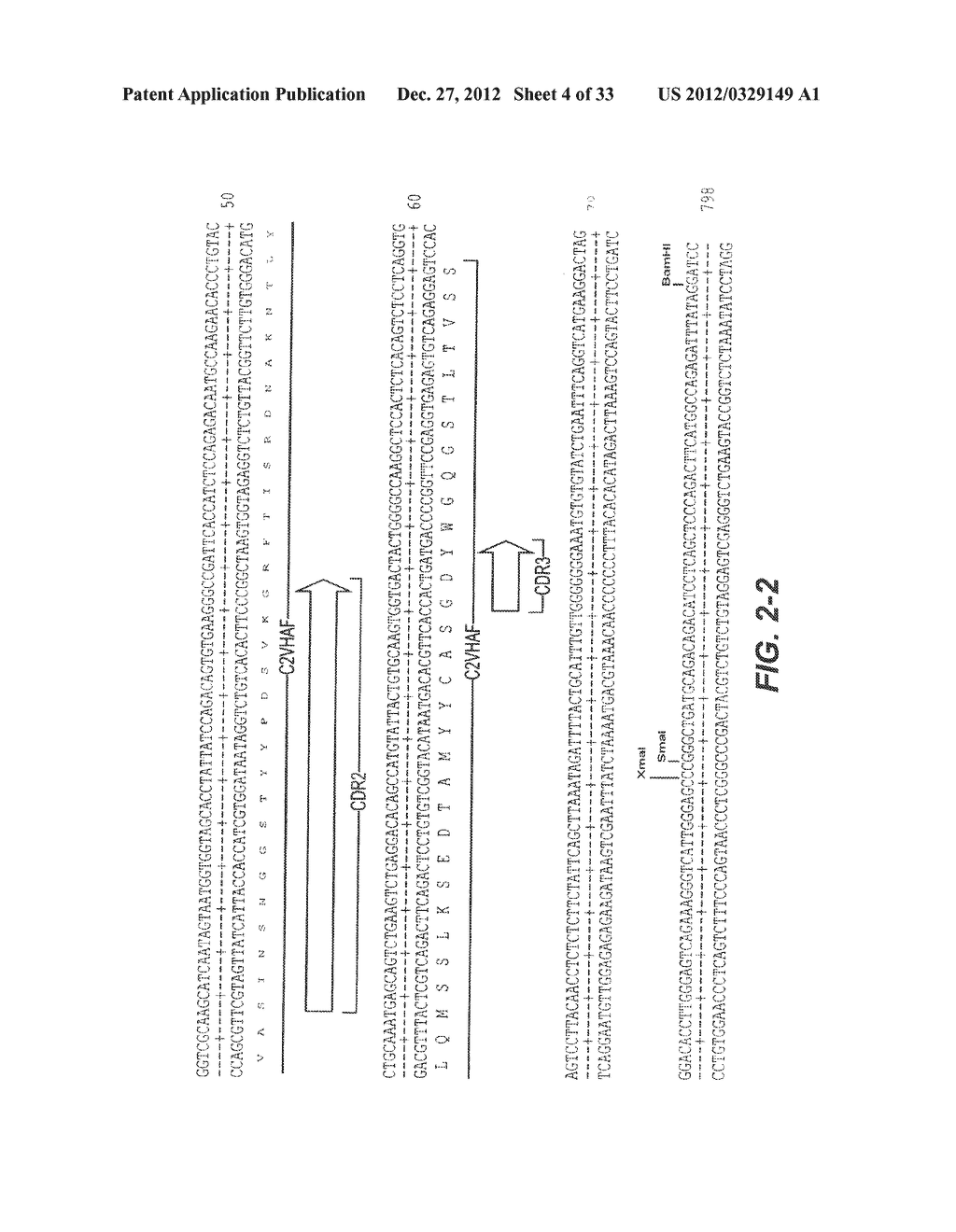 HUMANIZED ANTIBODY - diagram, schematic, and image 05