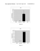 INDUCTION, PROPAGATION AND ISOLATION OF LIVER PROGENITOR CELLS diagram and image