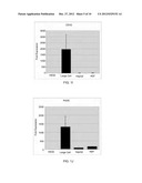 INDUCTION, PROPAGATION AND ISOLATION OF LIVER PROGENITOR CELLS diagram and image