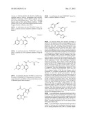 INDUCTION, PROPAGATION AND ISOLATION OF LIVER PROGENITOR CELLS diagram and image