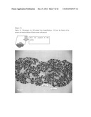 CELL CONSTRUCT COMPRISING POLYMER BLOCKS HAVING BIOCOMPATIBILITY AND CELLS diagram and image