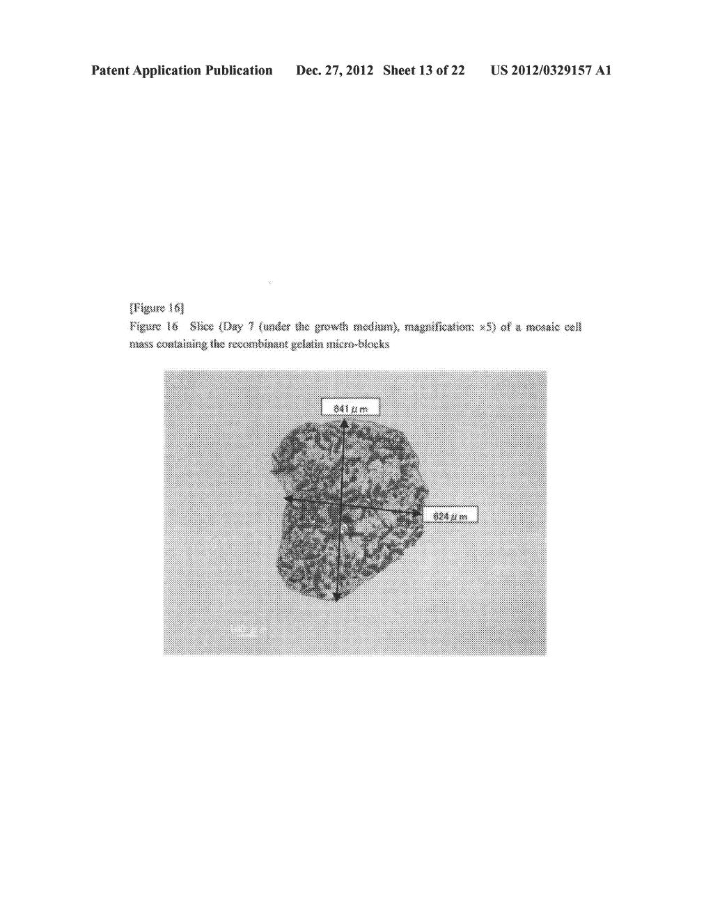 CELL CONSTRUCT COMPRISING POLYMER BLOCKS HAVING BIOCOMPATIBILITY AND CELLS - diagram, schematic, and image 14